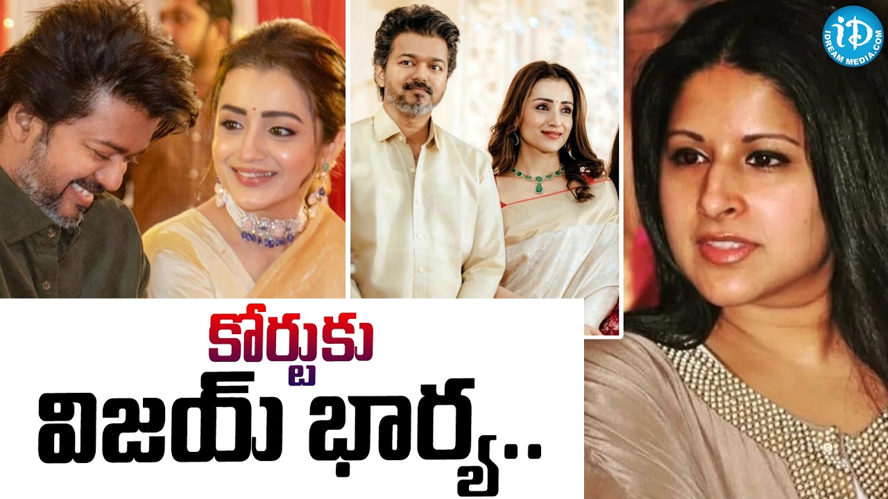 కోర్టుకు విజయ్ భార్య.. | Vijay Wife Sangeetha Big Shock To Vijay & Trisha | Latest News Updates