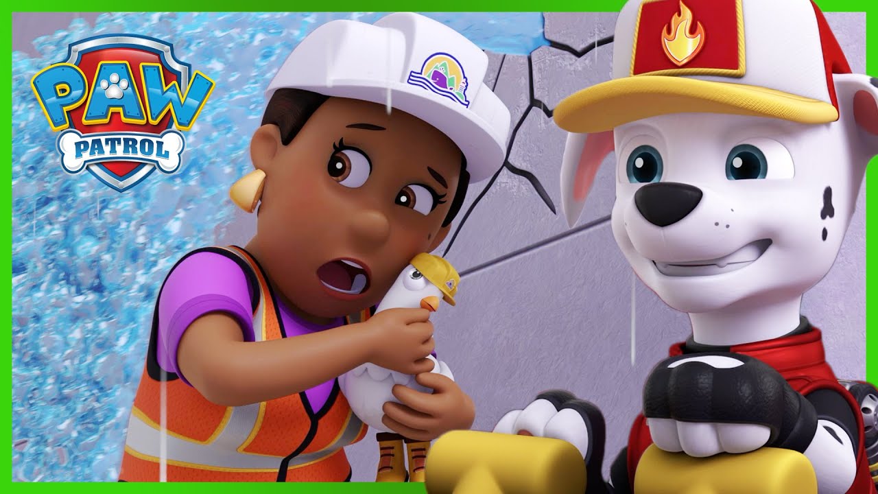 Big Truck Pups Save the Dam from Flooding! | PAW Patrol | Cartoons for Kids Compilation