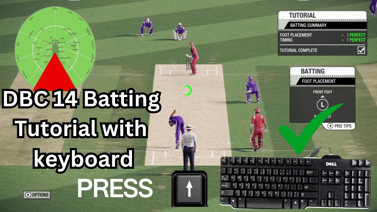 Don Bradman Cricket 14 Batting Tutorial on Keyboard | DBC 14 Batting Pro Tips & Tricks on  Keyboard