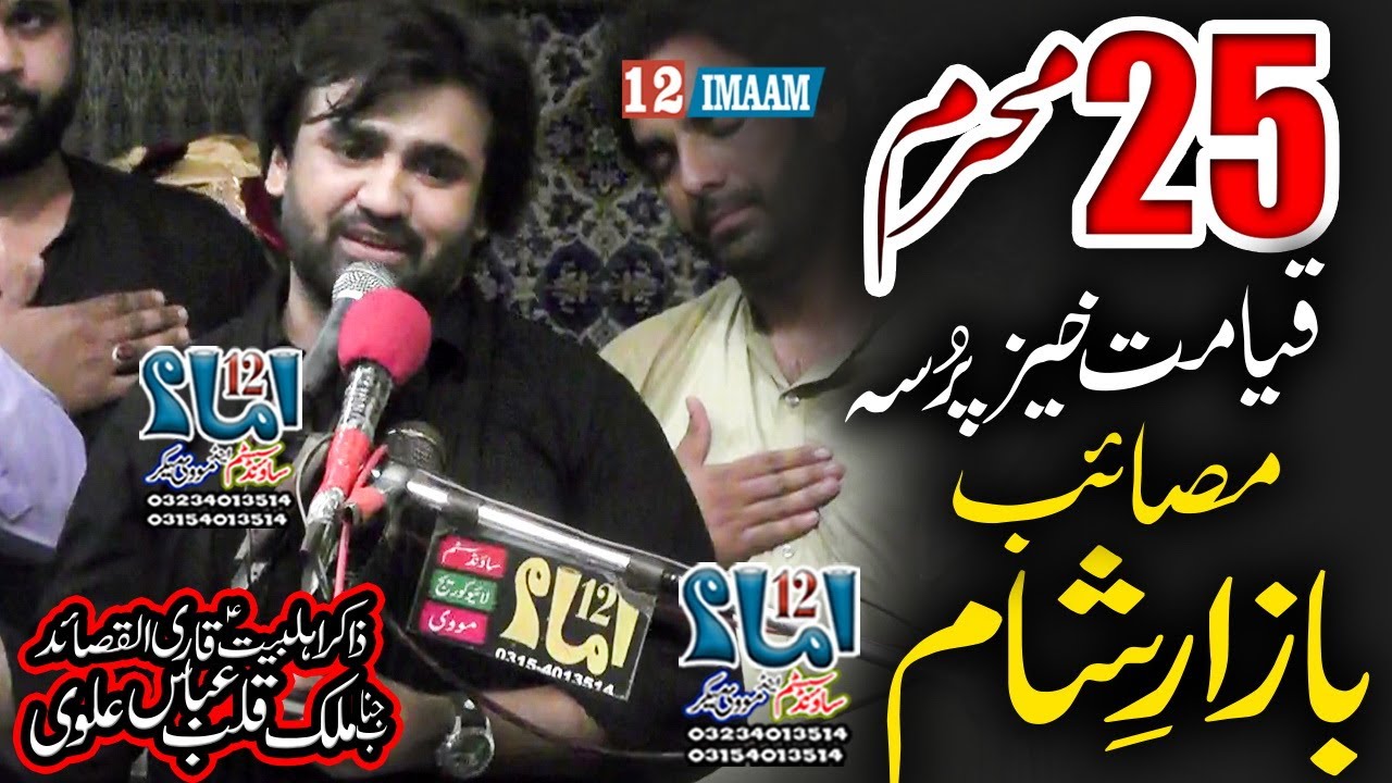 Zakir Qalab Abbas Alvi | 25 Muharram | New Majlis | Masaib Bazar e Sham