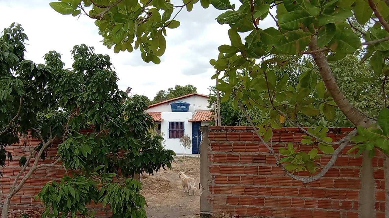 DEPOIS DE SEIS MESES! ACHEI QUE NÃO IA MAIS TER JEITO. 