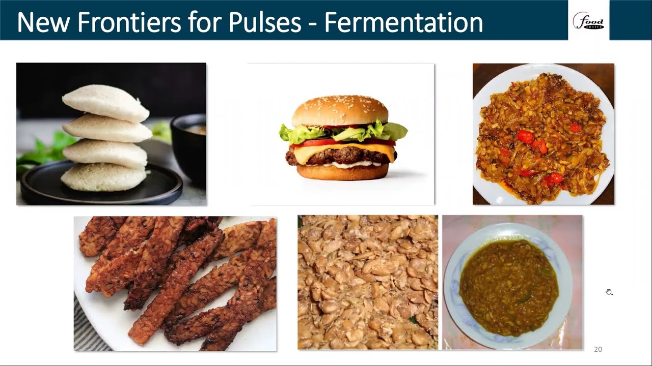 Overview of Global Fermented Pulse-Based Foods Webinar