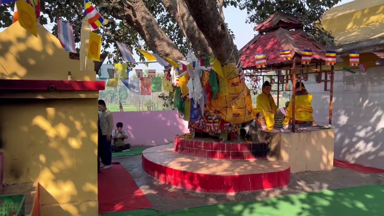 Bodhgaya tour slpeeing buddha tara temple sujata temple 80feet murti #travel #bodhgayatourism