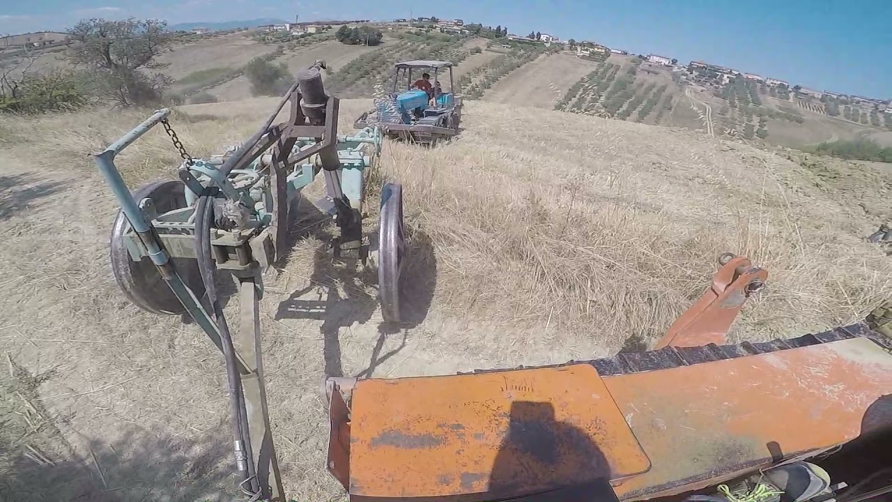 CAB VIEW. PLOWING 2K21.OLD STYLE TRACTOR. OM 50 C + BIVOMERE NARDI 1BT.  (GIANDOMENICO IL GALLO).