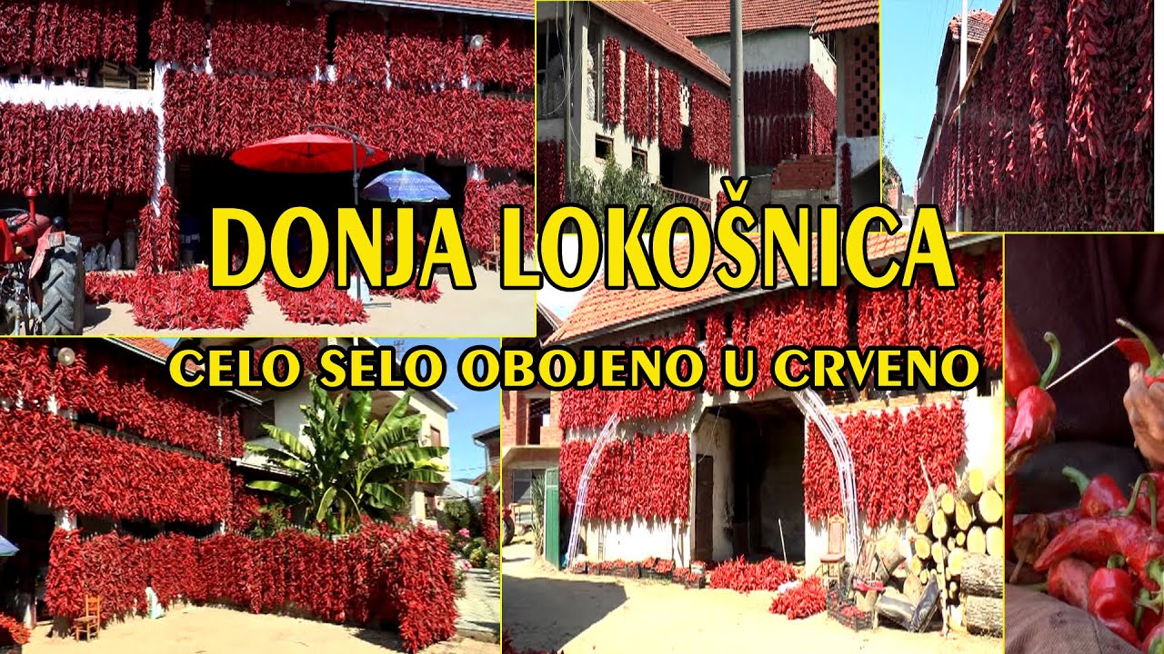 SELO CRVENIH PAPRIKA - DONJA LOKOŠNICA, JEDINSTVANA U SVETU (2020)