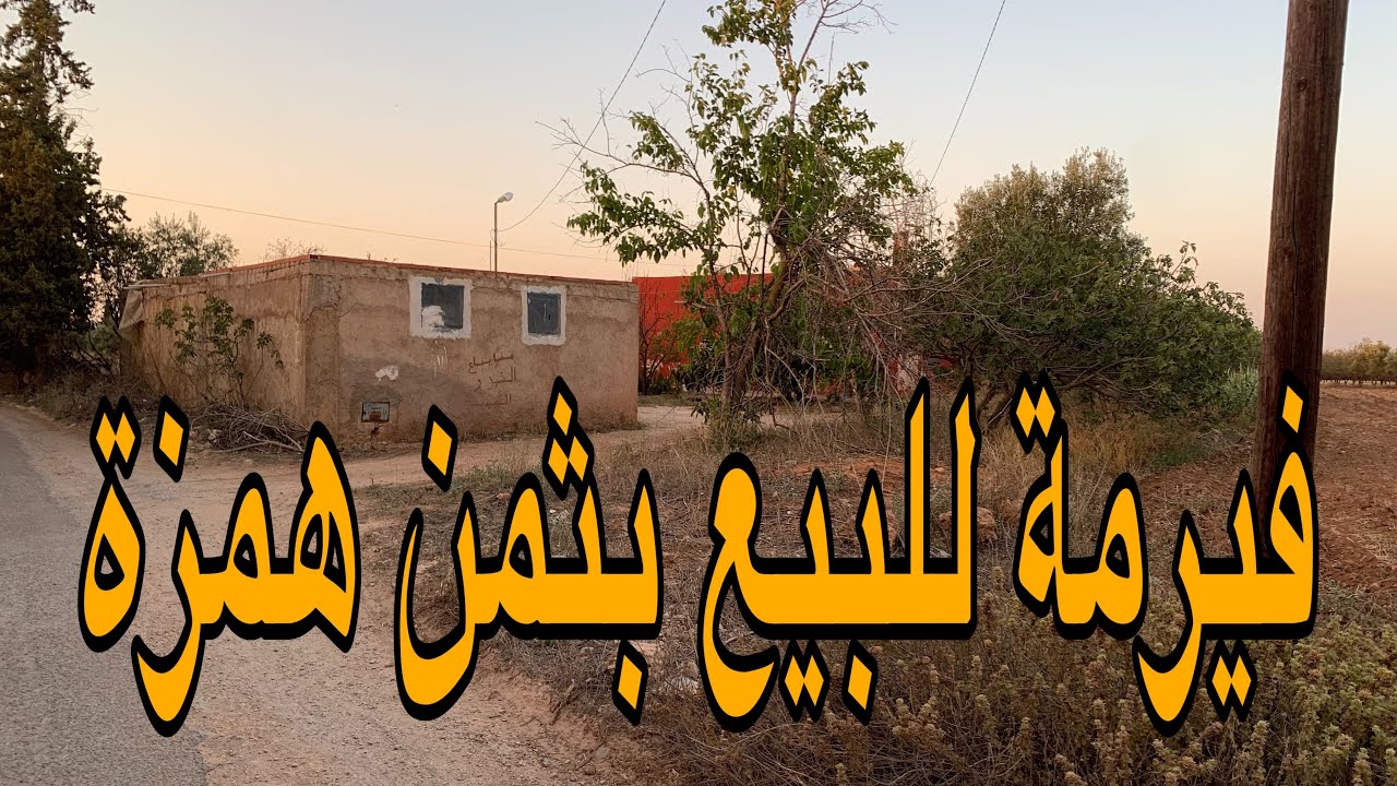 #فيرمة_صغيرة للبيع بعين الشكاك