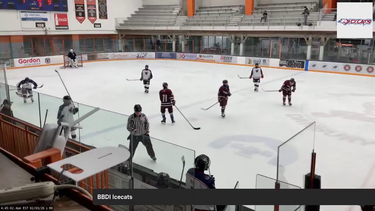 BBDI Icecats (2026.02.03)