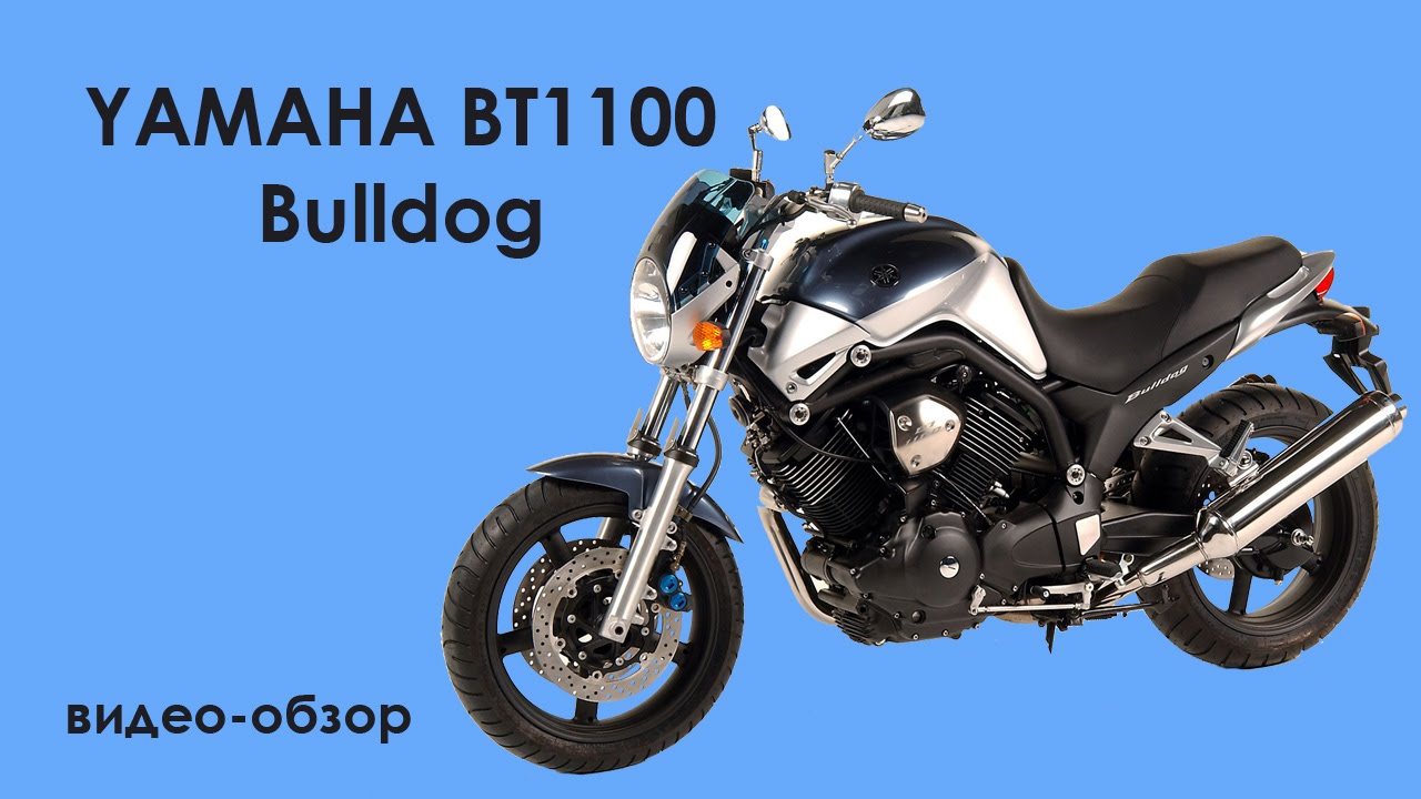 Видео-обзор Yamaha BT1100 Bulldog