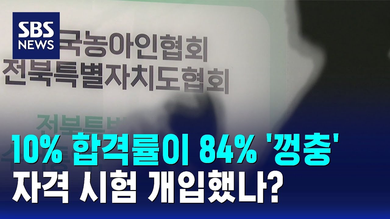 청각장애인 통역사 합격률 '껑충'…자격 시험 개입했나? / SBS