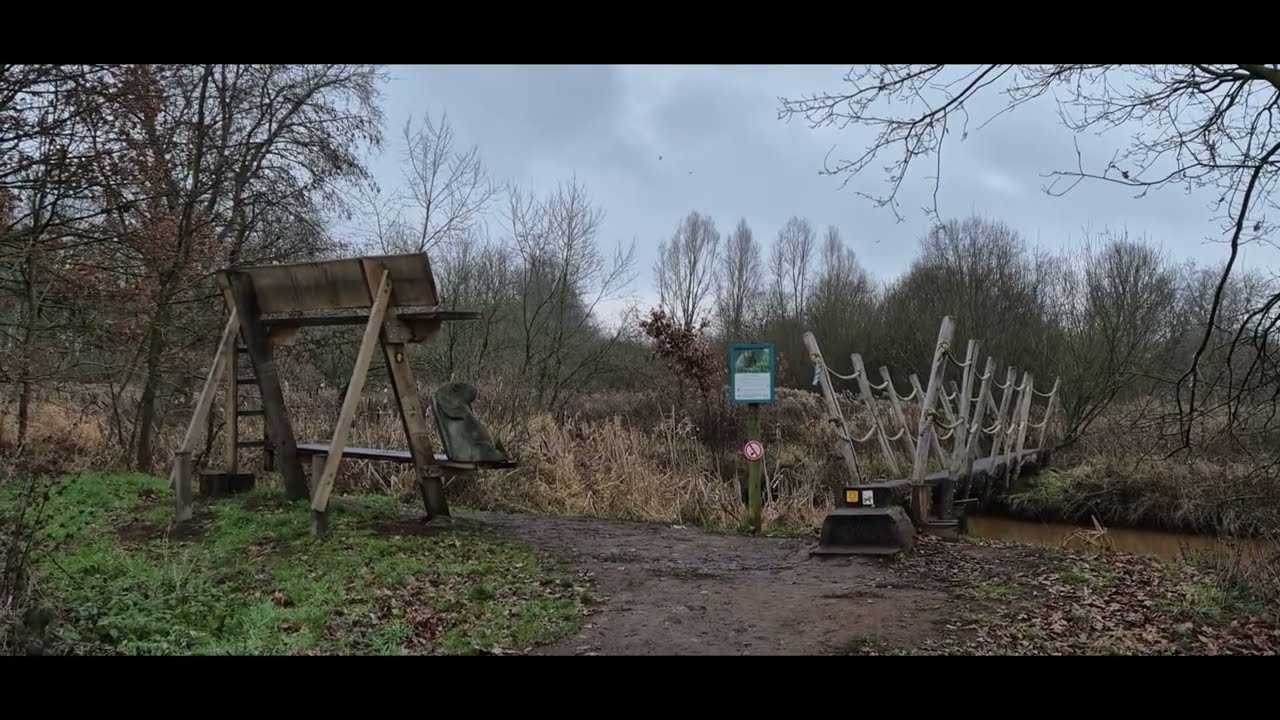 Dwars doorheen Straalheide(bos) / Natuurpark Grote NeteWoud 2025.