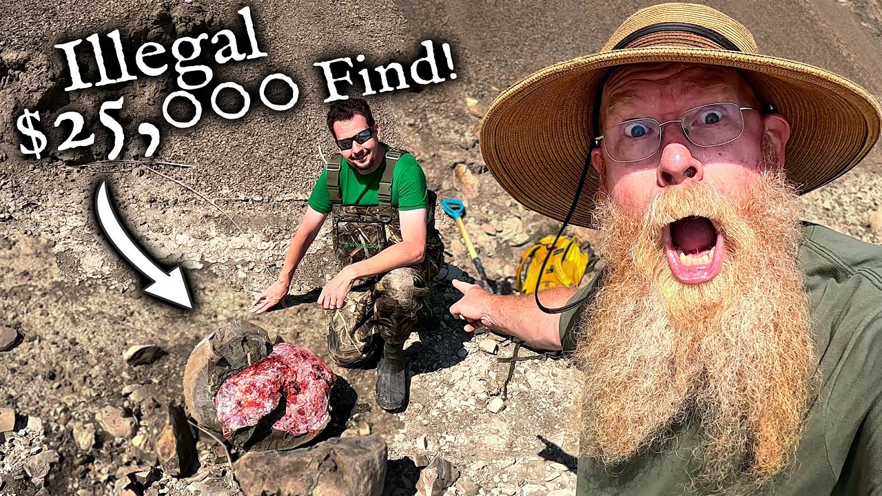 We found a $25,000 Fossil!  *Illegal Ammonite Mining!*
