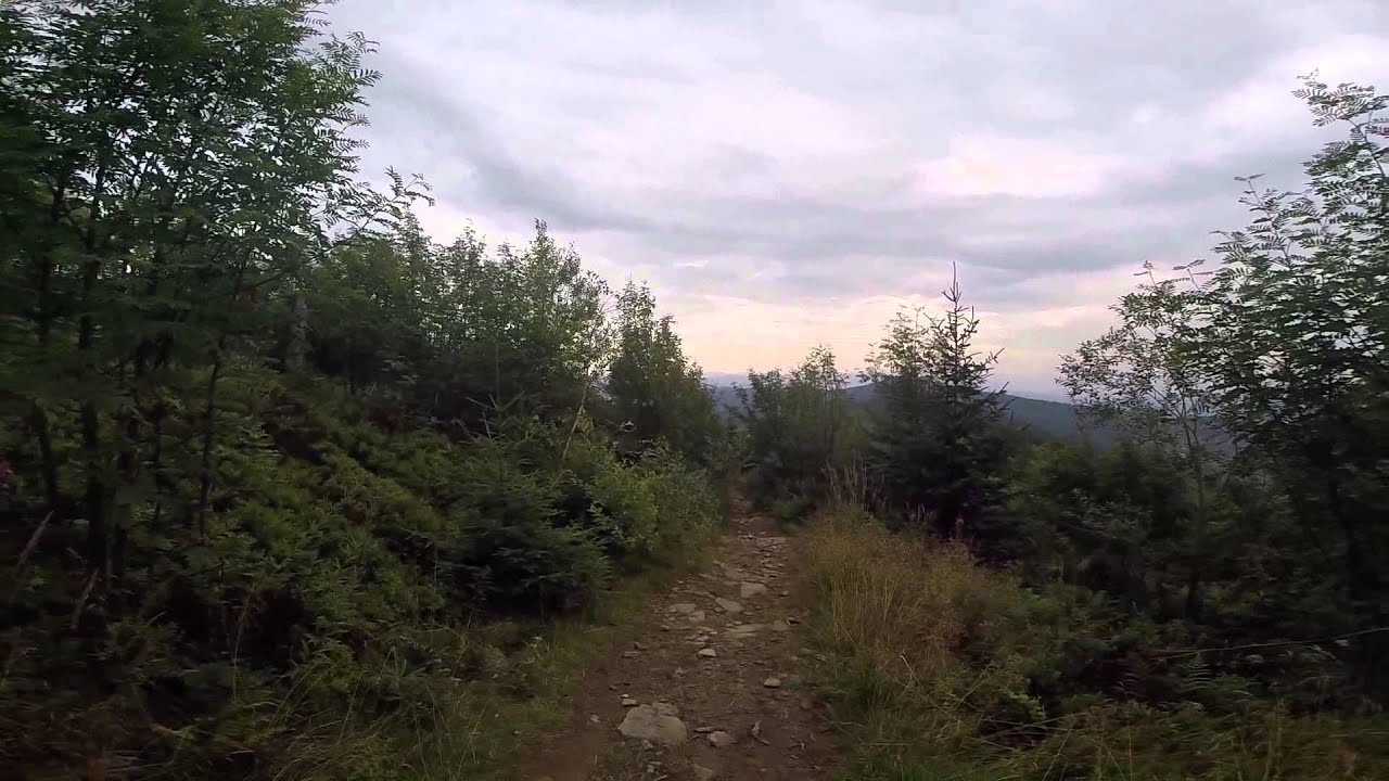 Sidzina - Hala Krupowa  -Polica - Sidzina / Beskid Żywiecki