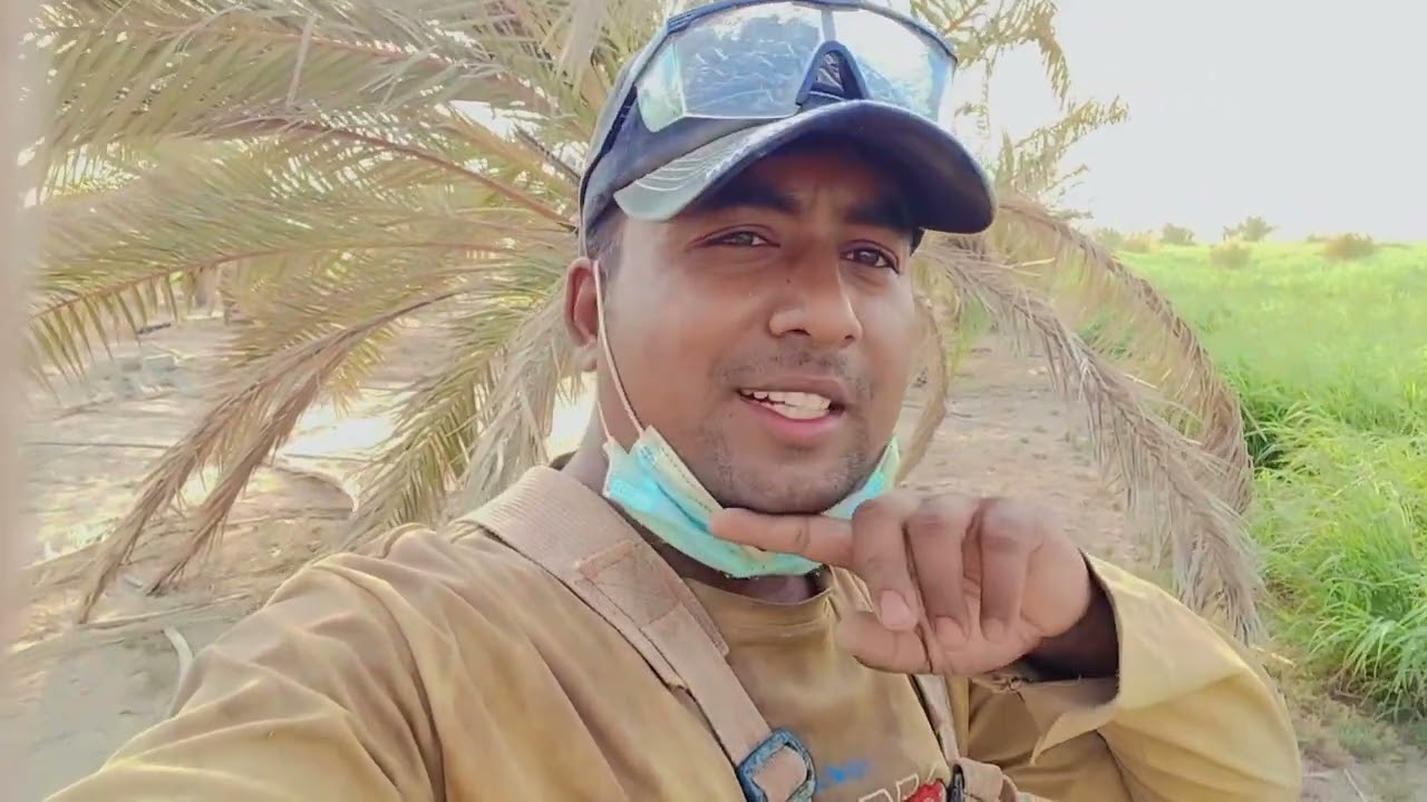 কুয়েতের ঘাসগুলা এত লম্বা হয়ে থাকে দেখুন । Kuwait village video 2025। Bangla vlog video ।।