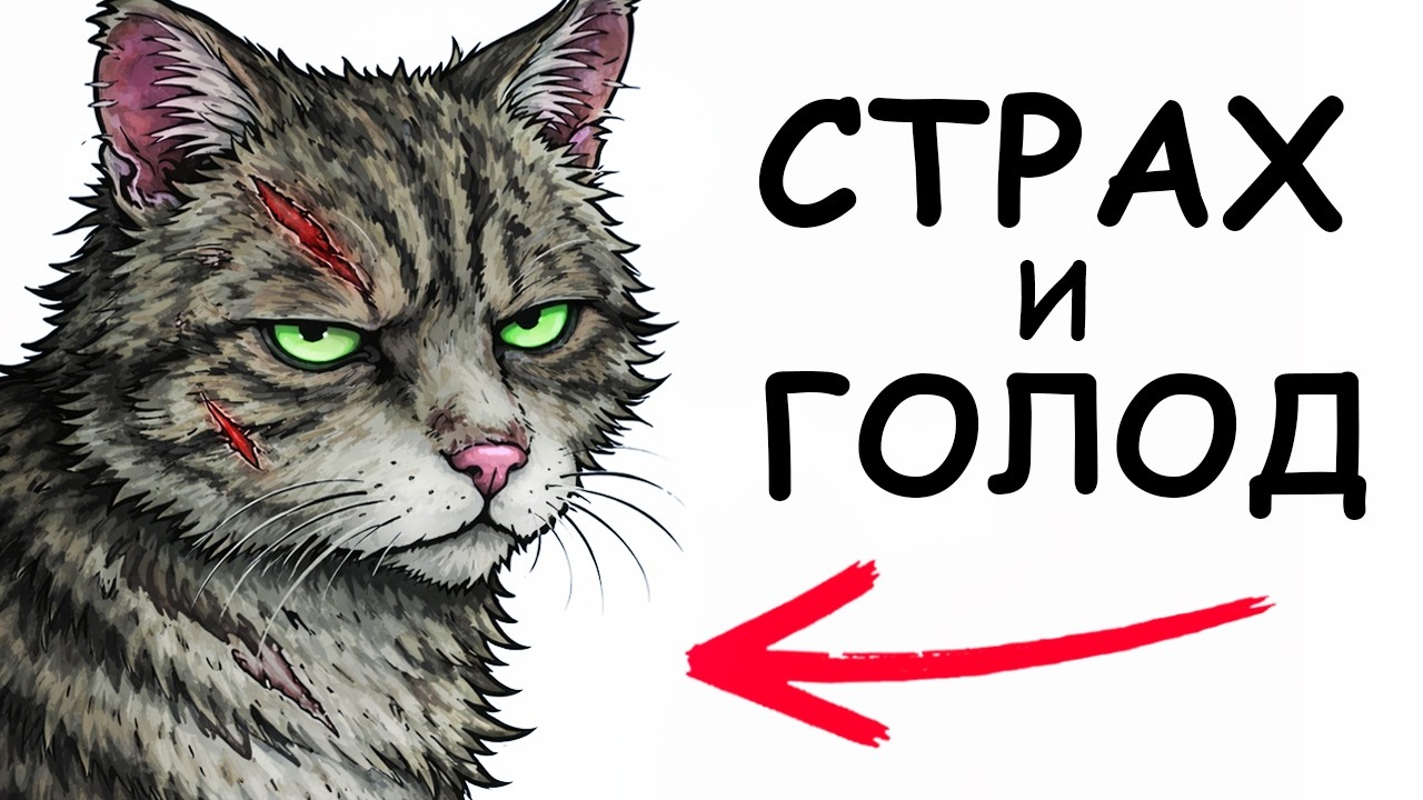 ТЫ - БЕЗДОМНЫЙ КОТ (И ЭТО ВСЯ ТВОЯ ЖИЗНЬ)