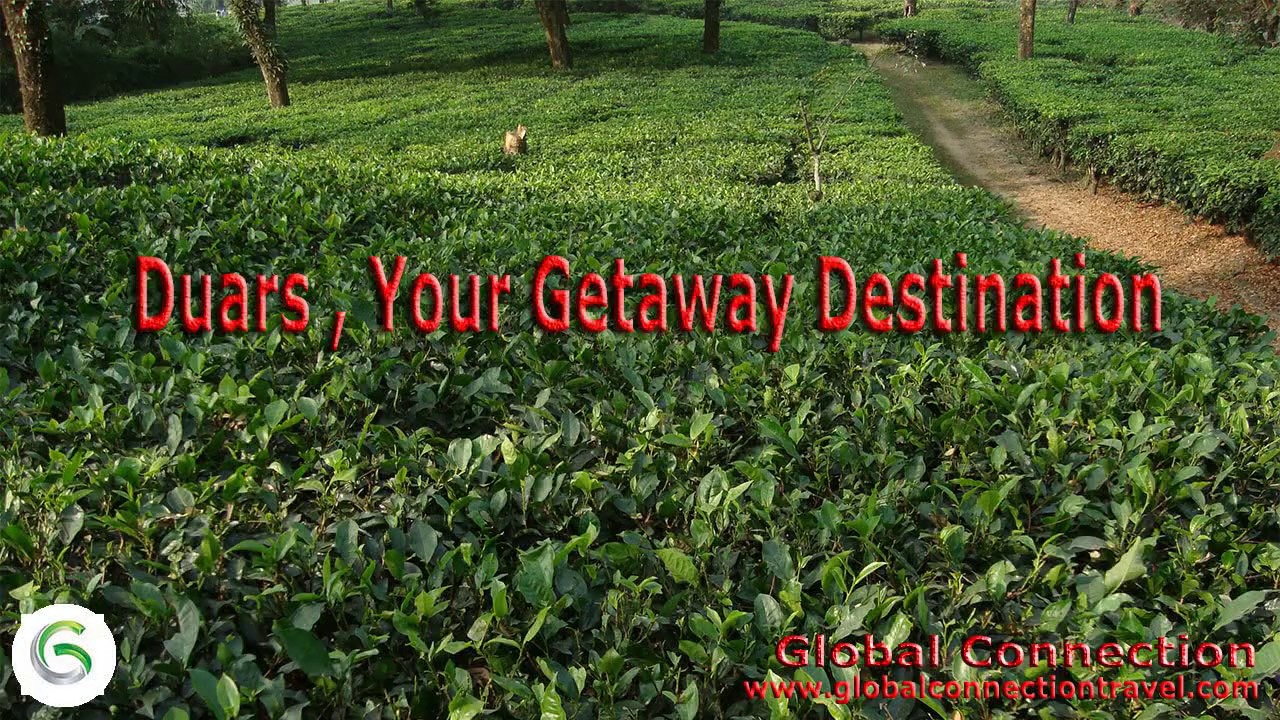 Dooars - Your Getaway Destination