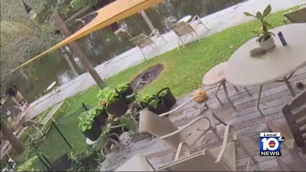 Teen pulled from Miami-Dade canal in near-drowning incident