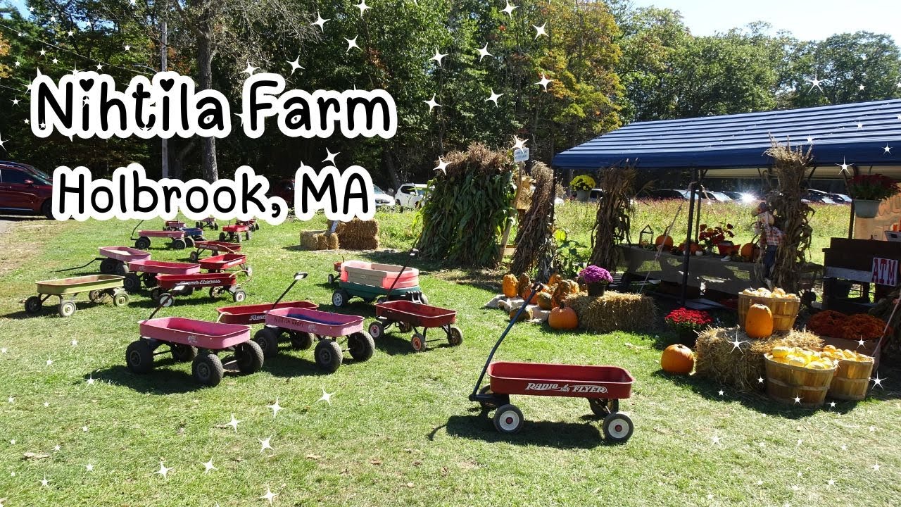 Visit Nihtila Farm This Fall in Holbrook, Massachusetts