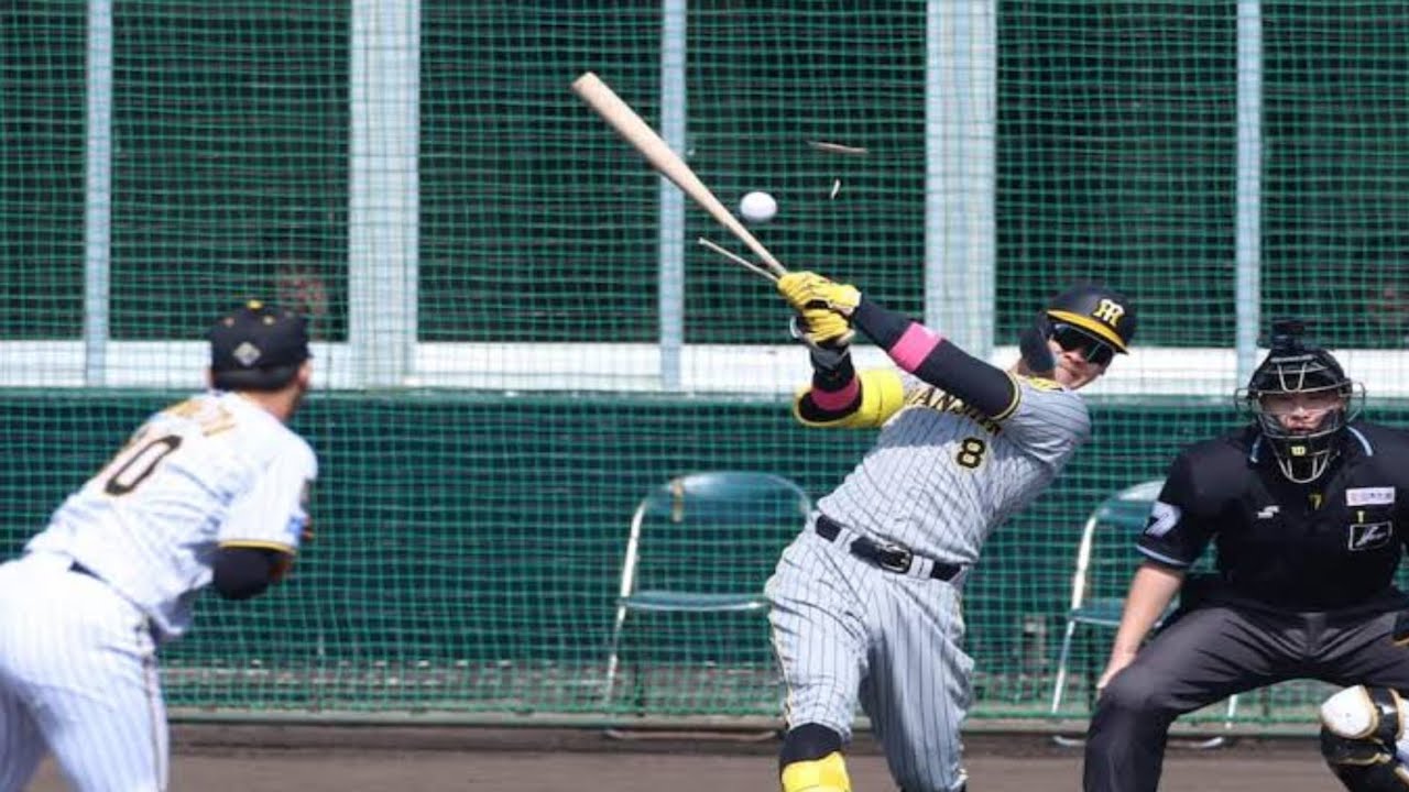 💰⚾「ゴリゴリ頑張ると思う」💪✨