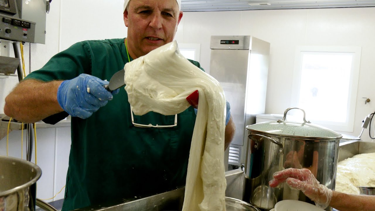 Did you know that real mozzarella cheese is made from water buffalo milk?