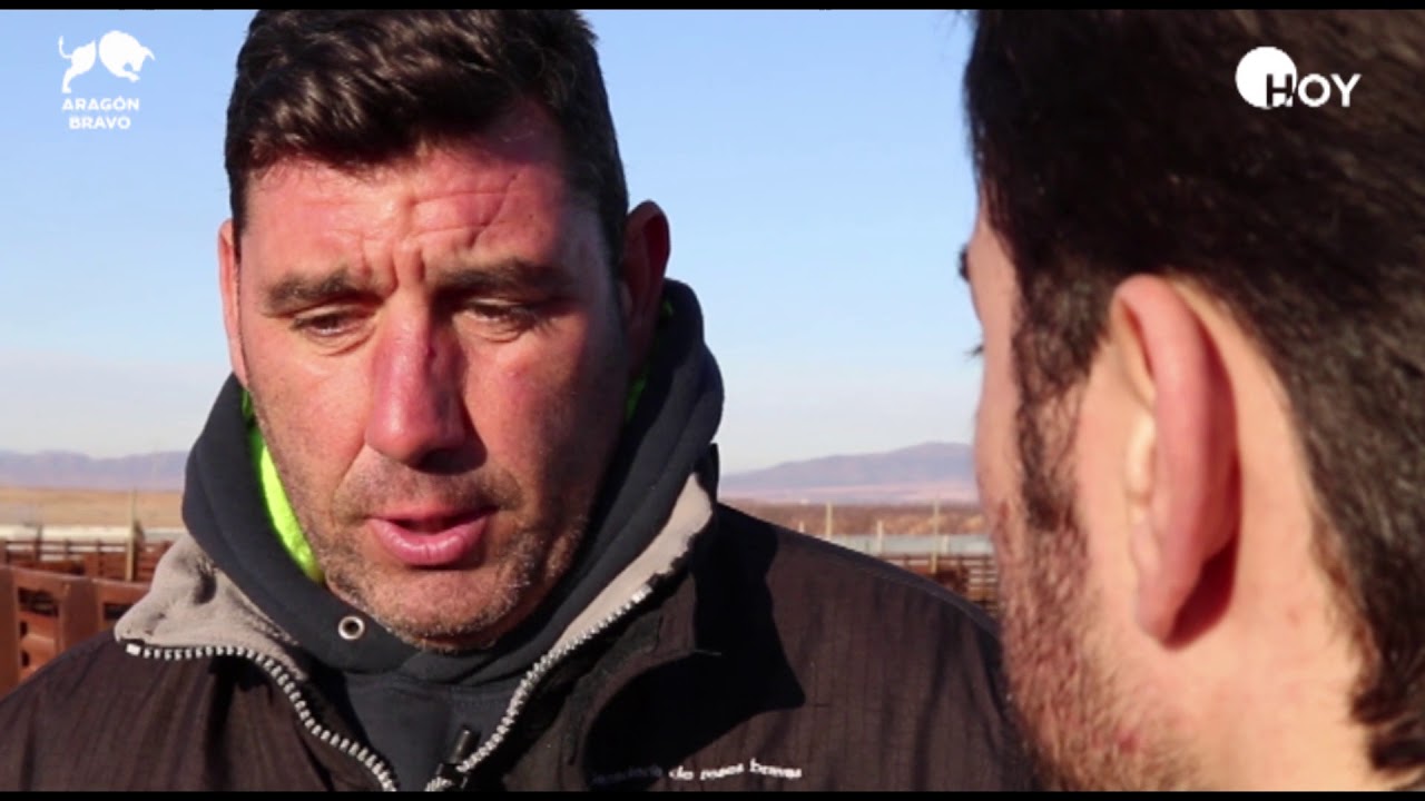 ARAGÓN BRAVO I 'Hnos Joven-Salas', una ganadería exigente que mima el festejo popular - #AragónBravo