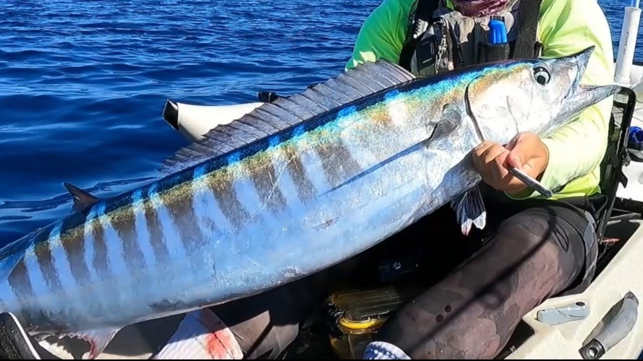 Hawaii Kayak Fishing: Ono (Wahoo) Curse Broken!