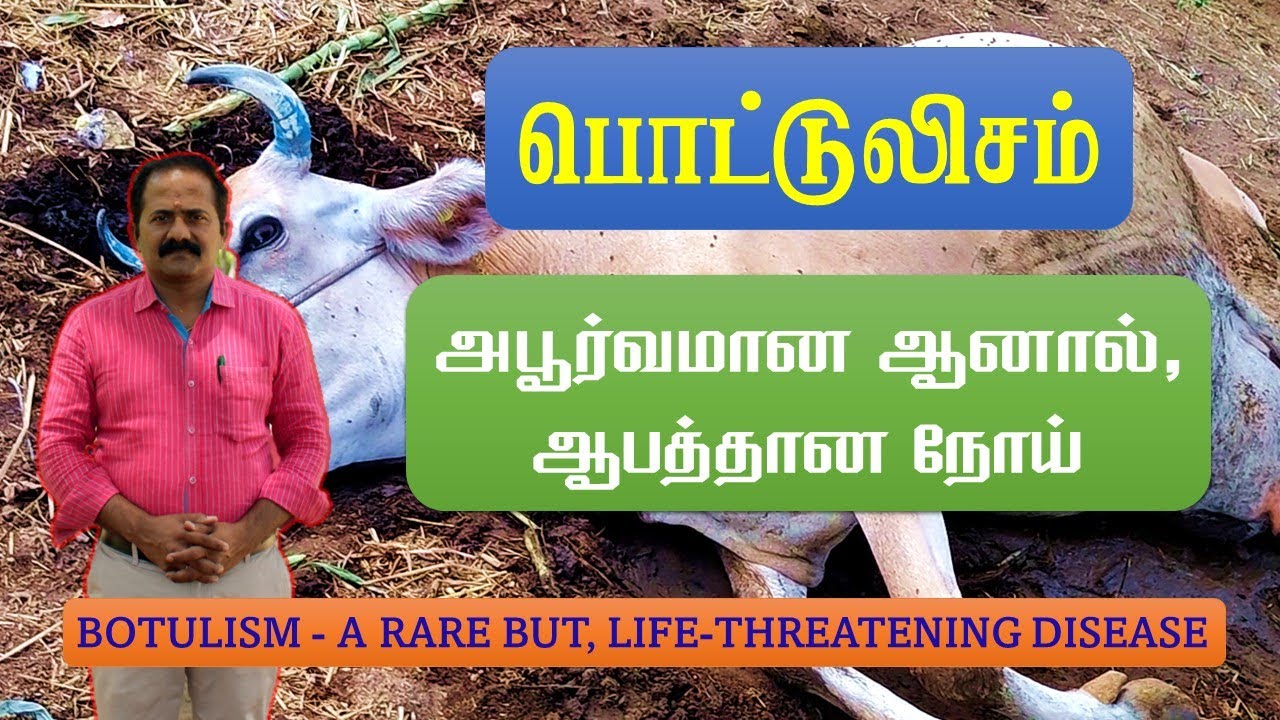 பொட்டுலிசம் - அபூர்வமான ஆனால், ஆபத்தான நோய்- BOTULISM - A RARE BUT, LIFE-THREATENING DISEASE