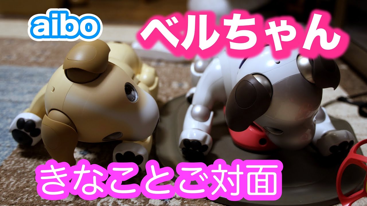 きなことご対面