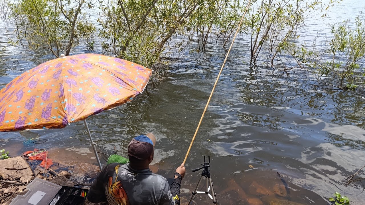 Pesca em Família.#pescaria #fishing 