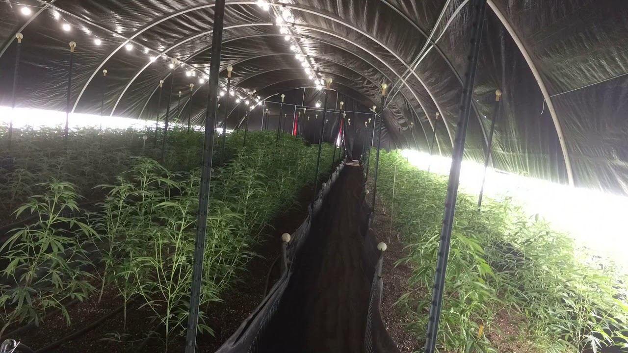 Light Dep Time Lapse