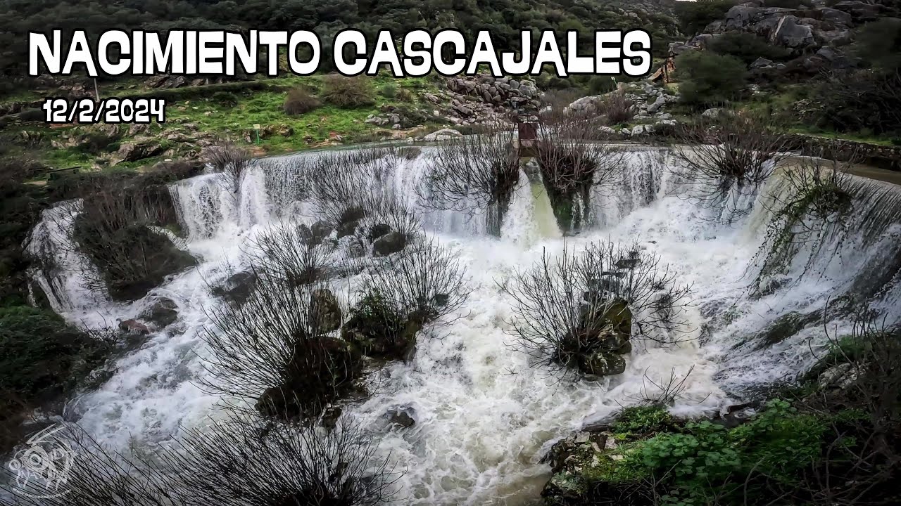 Nacimiento Cascajales Benaoján 12/2/2024 | ORONDANATURA