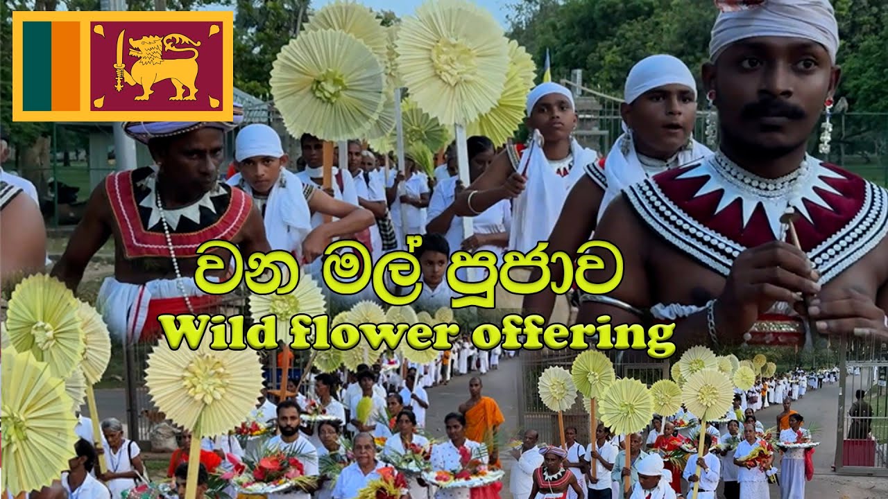 Wana Mal Poojawa I Anuradapura I 2025 I 