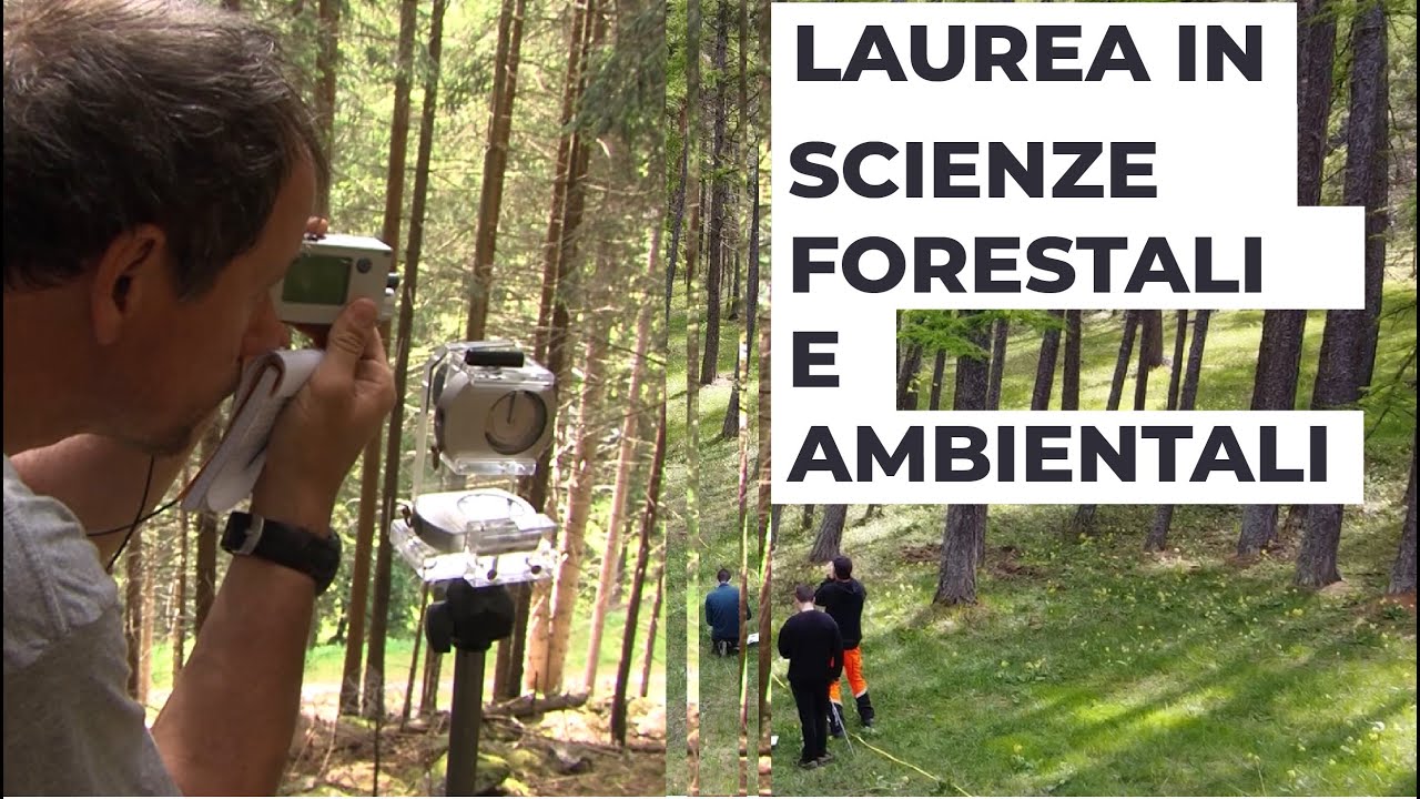 Laurea in Scienze Forestali e Ambientali