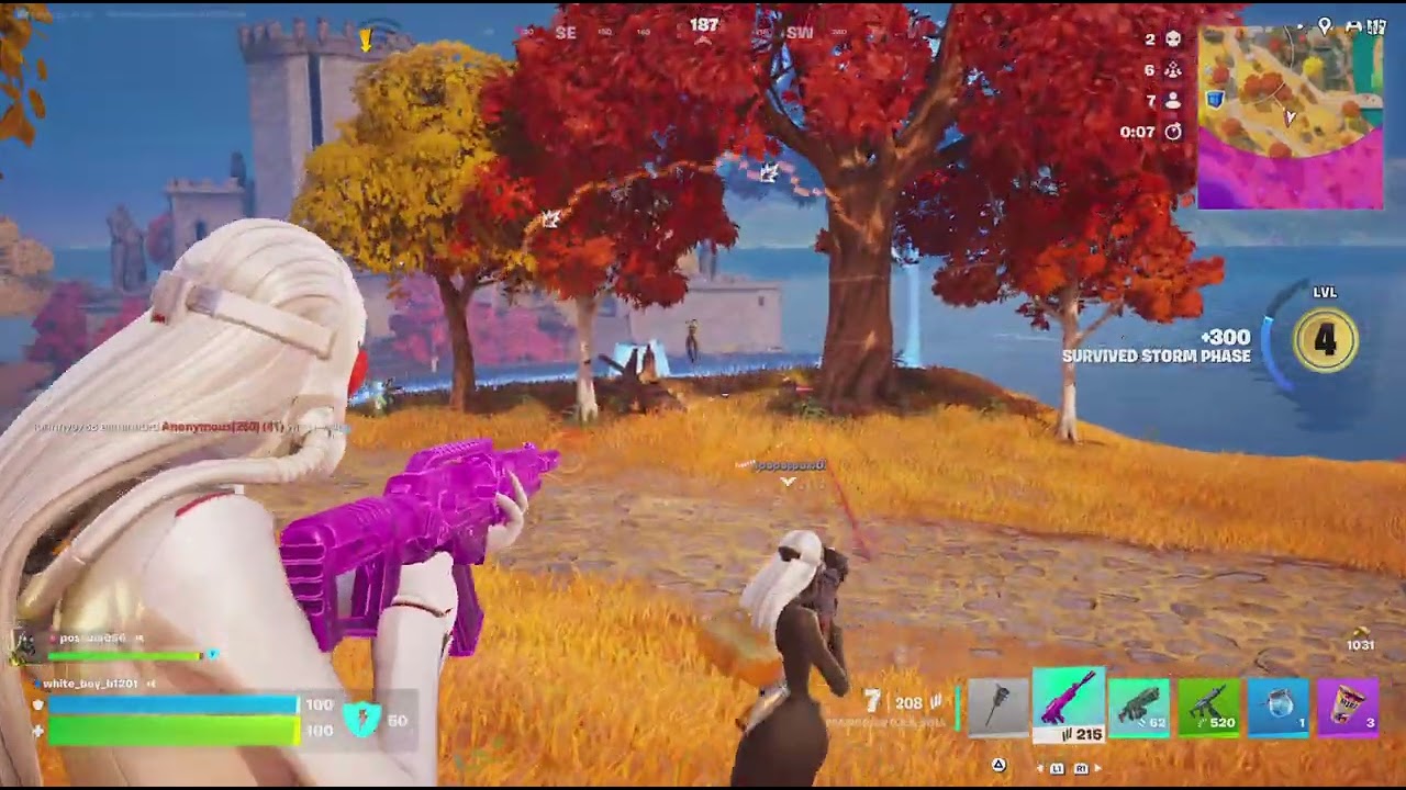 Fortnite_20260212203301