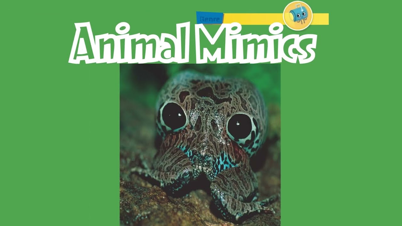 Animal Mimics/ Unit 2 L2 /MyView Literacy grade 4