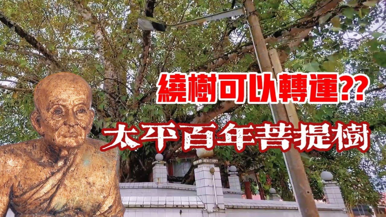 繞菩提樹可以轉運？？百年菩提樹見證太平興衰！！ft. Bohdi Langka Temple｜【信仰Vlog】#49
