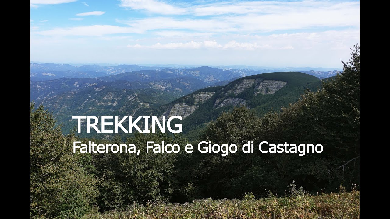 Trekking - Anello del Mt. Falterona, del Mt. Falco e del Giogo di Castagno