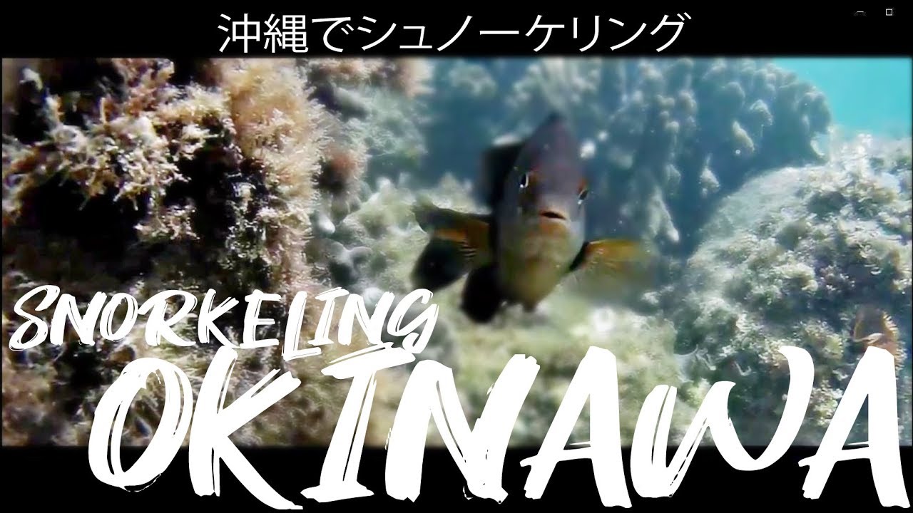 Snorkeling in Ishigaki  Okinawa, Japan - Part 1  ( Snorkeling video )