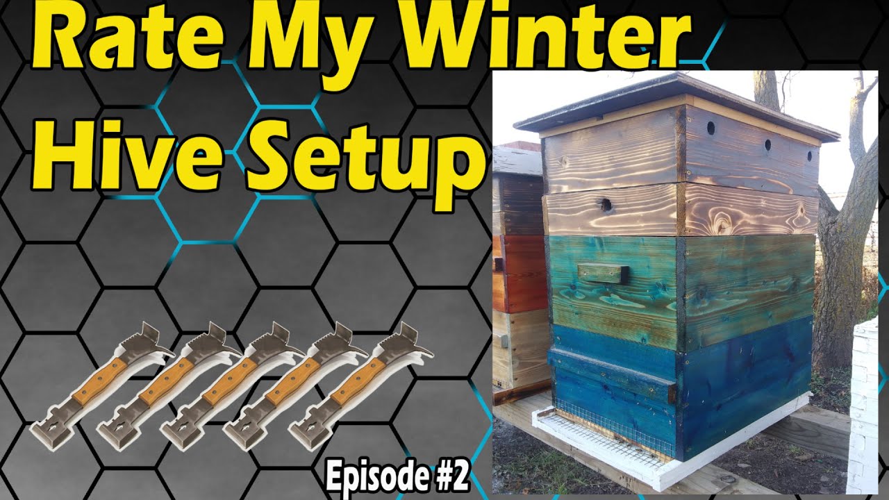 Rate My Winter Hive Setup Episode #2