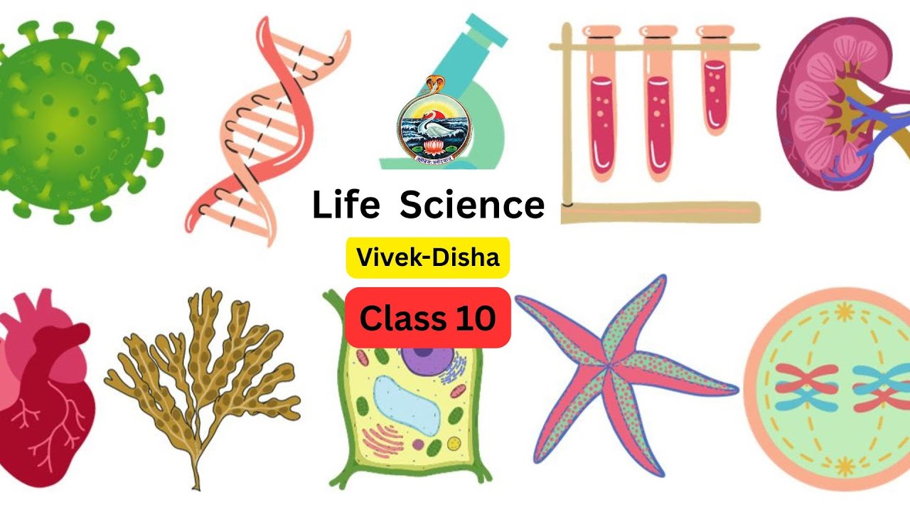 Chromosome & DNA | Life Science | Class-10 | Vivek-Disha | RKMVERI-2026-01-20