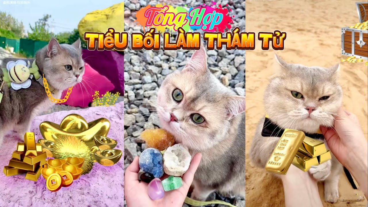 [TỔNG HỢP] Mèo Tiểu Bối Làm Thám Tử Tập 7 | Giả Dạng Tiểu Bối..(Quỳnh Vịt)