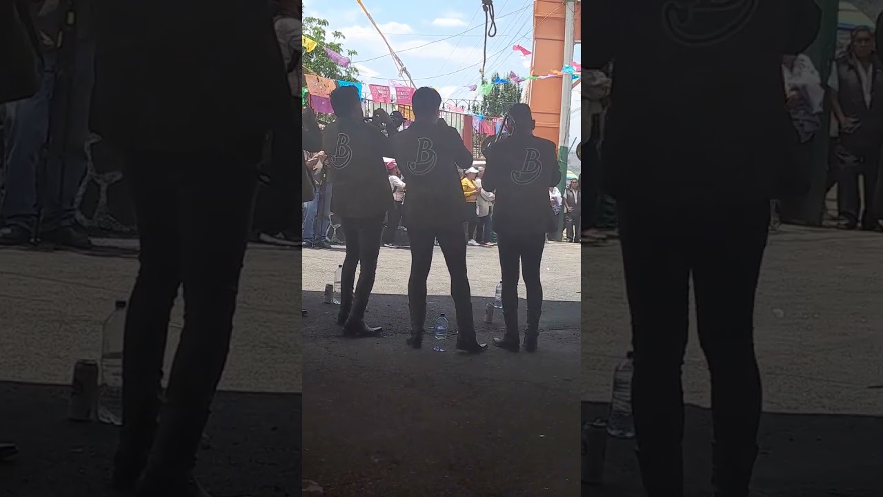 BANDA BRISAS DE MICHOACAN- ARRIBA PICHARARITO