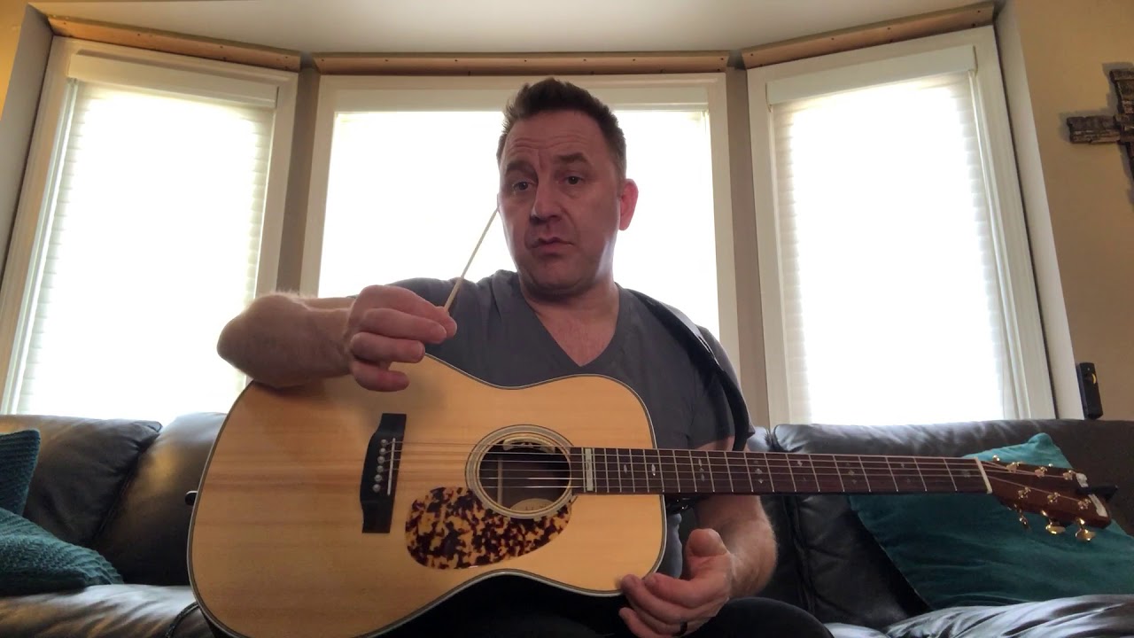 L.R. Baggs Anthem Microphone Adjustment.