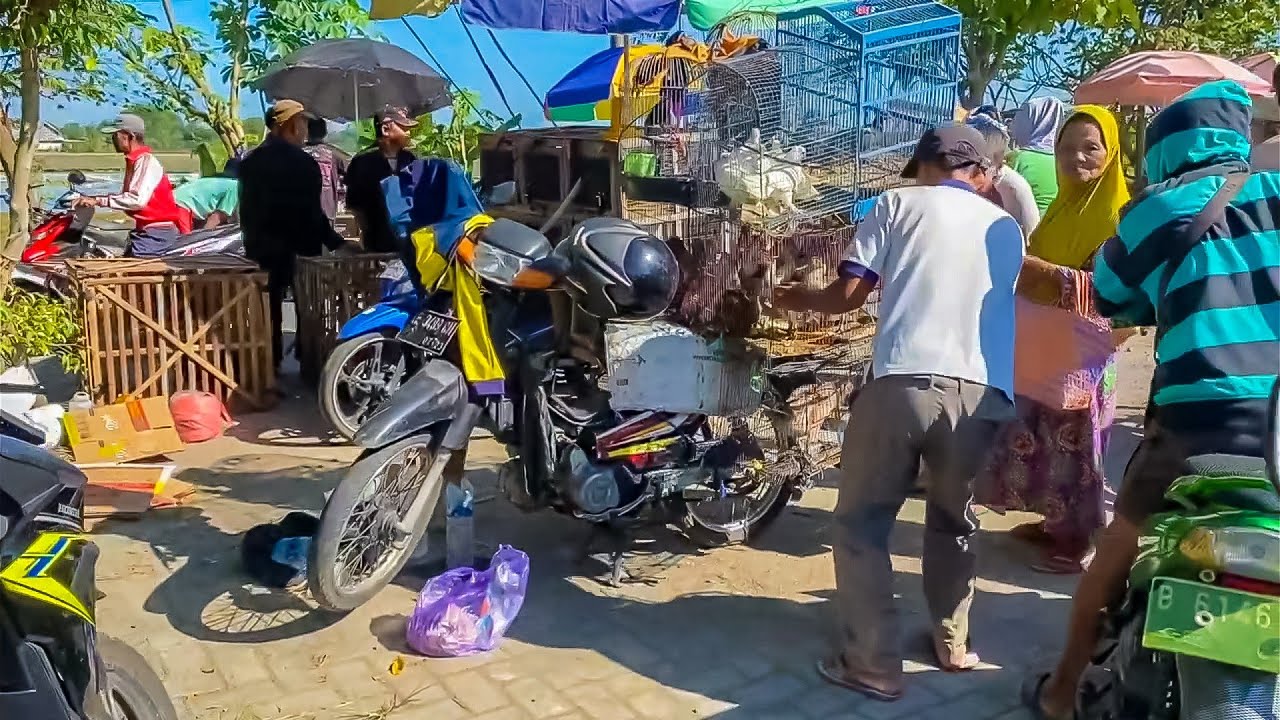 JALAN JALAN DI PASAR KLIWON -  REAL LIFE WALKING IN  TRADISIONAL MARKET