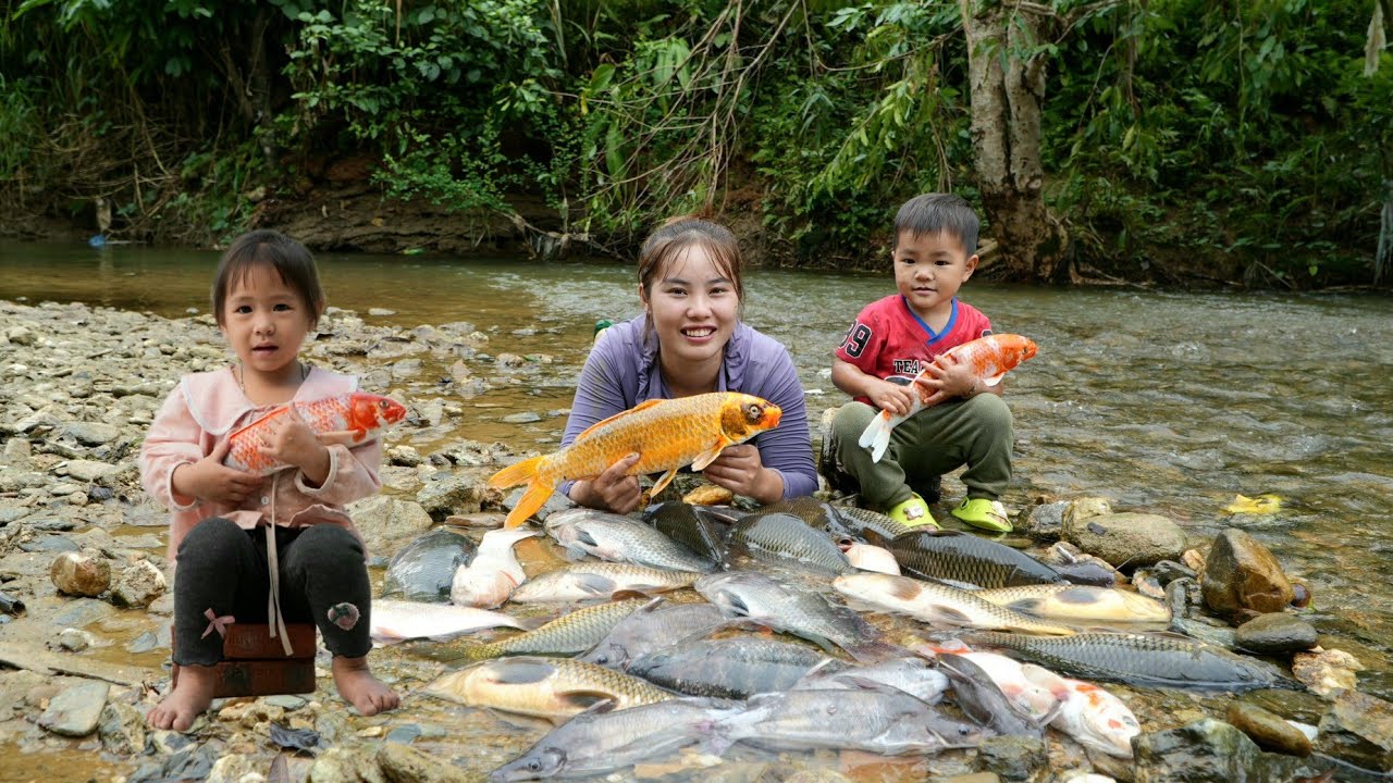 how to catch giant river fish to sell at the market -grow flowers, eat fruit with two small children