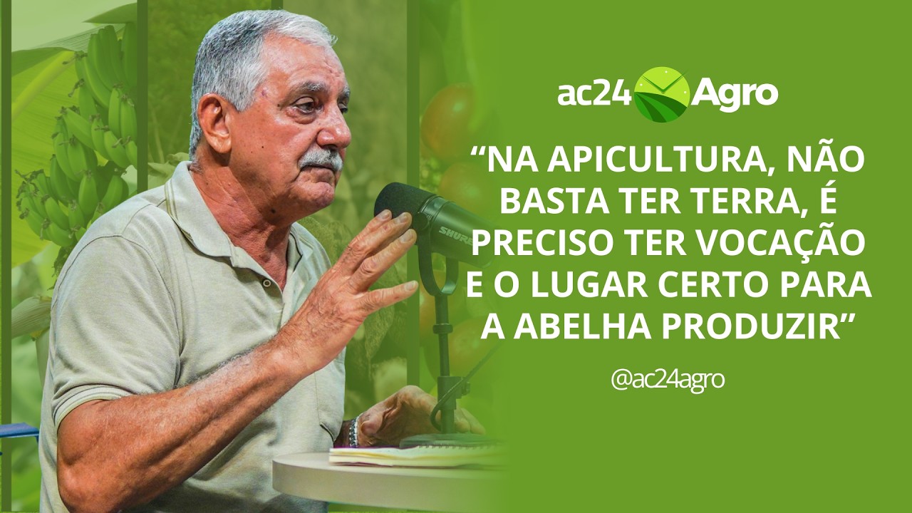 Apicultura exige vocação, preparo e escolha correta da área, orienta especialista