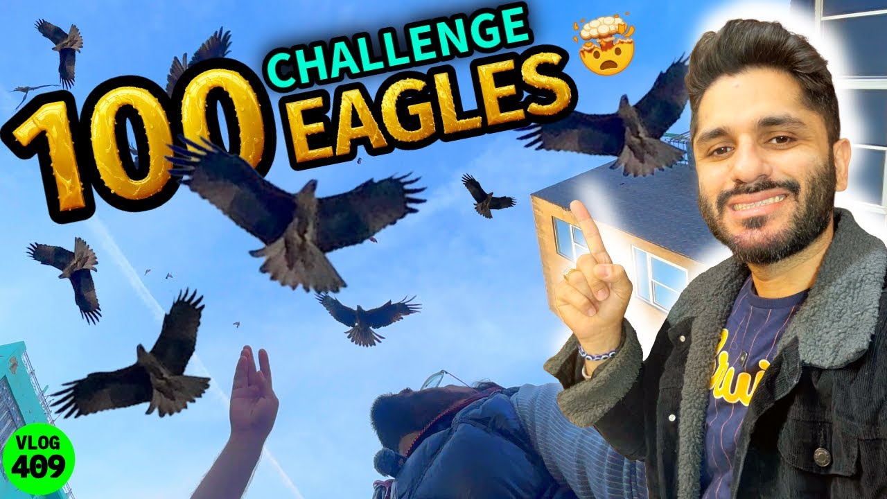 Feeding 100 Eagles Challenge 😍 Mohammed Chishty Vlogs