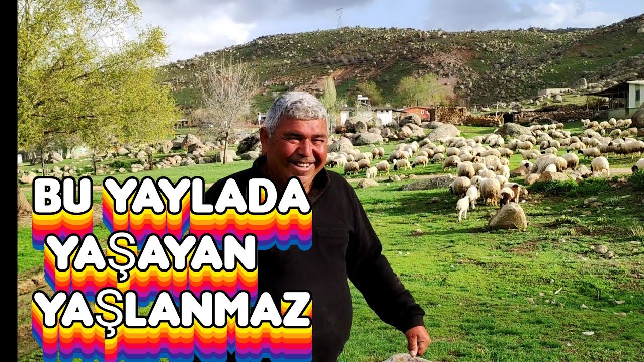 DİPSİZ KRATER GÖLÜ/GEVREKLİ YAYLASI/SÜLÜKLÜ GÖL SAFARİSİ BU YAYLADA ADAM YAŞLANMAZ
