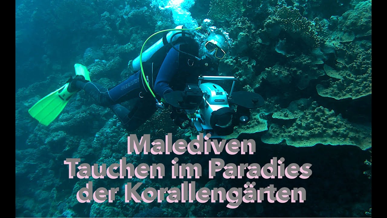 Malediven - Tauchen im Paradies der Korallengärten