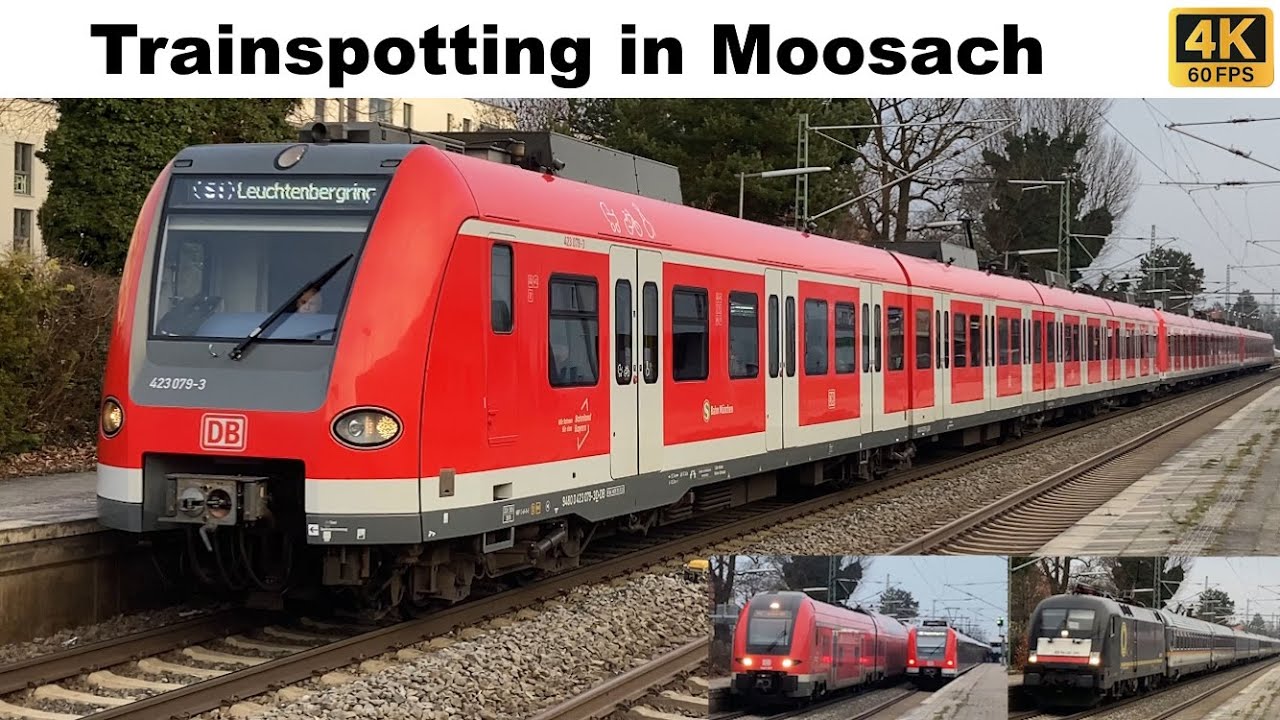 Moosach im Morgennebel | Moosach #1 4K