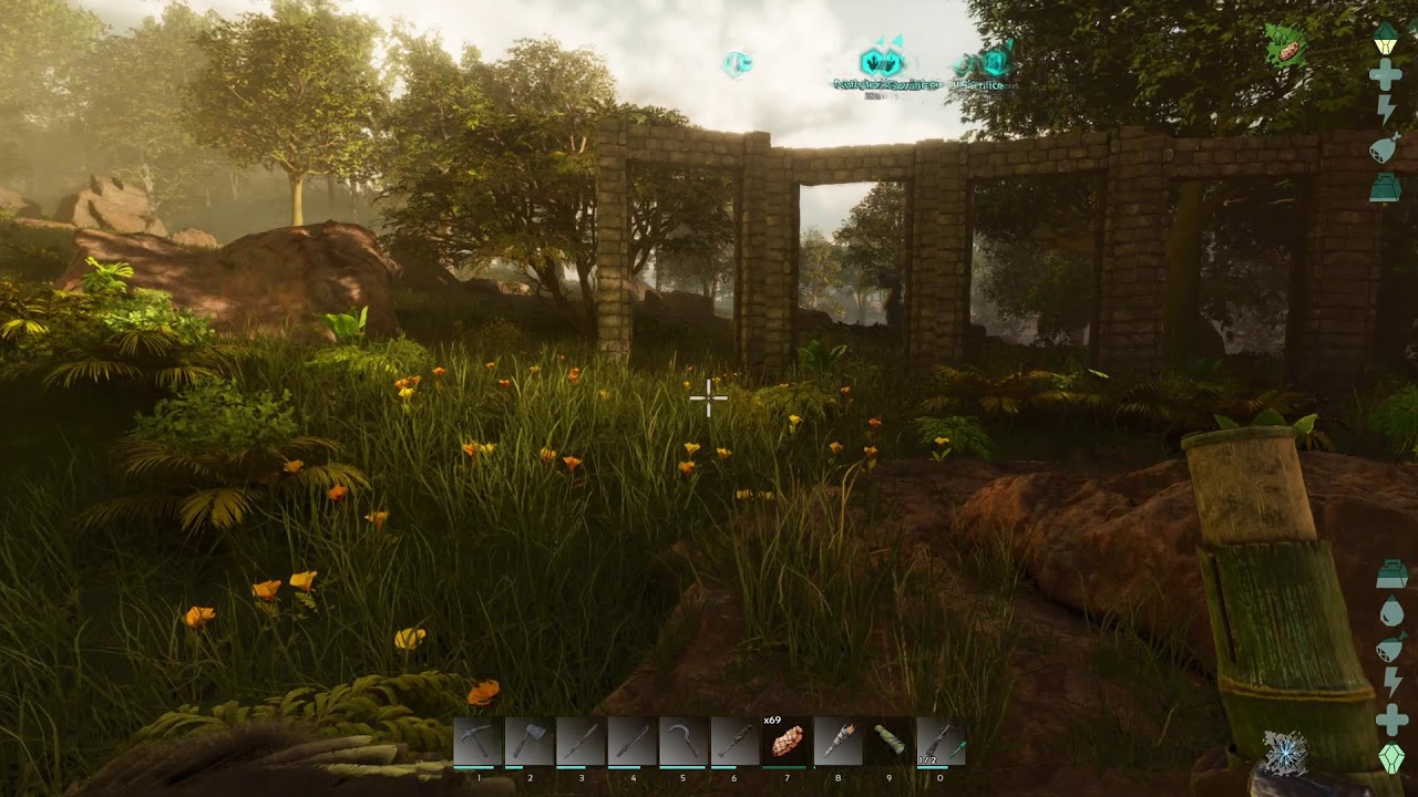 NEW TO ARK ASCENDED CO-OP
